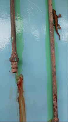 Memory of a bBue(detail)